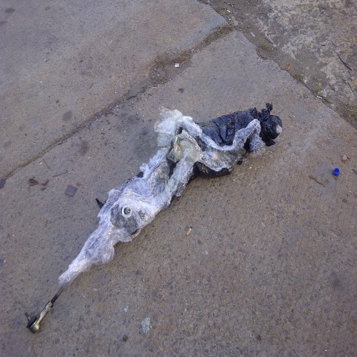 IMG-20121016-002422.jpg