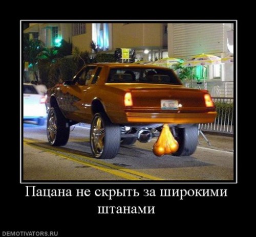 1259068321_demotiv_7 (1).jpg