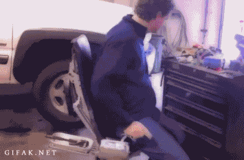 21122012-gifki-gifki-smeshnye-gifki-gifki-kote_49410039791.gif