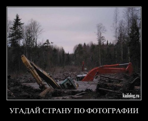 x_990adb02.jpg