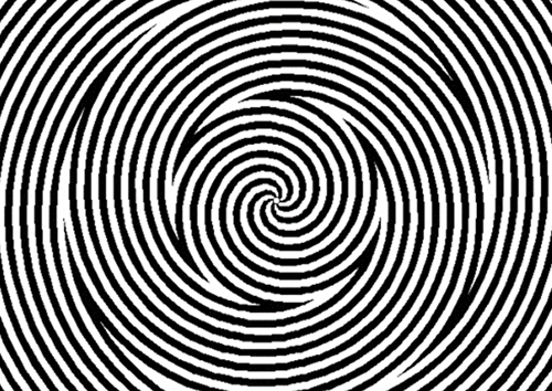 13633347622083[1].gif
