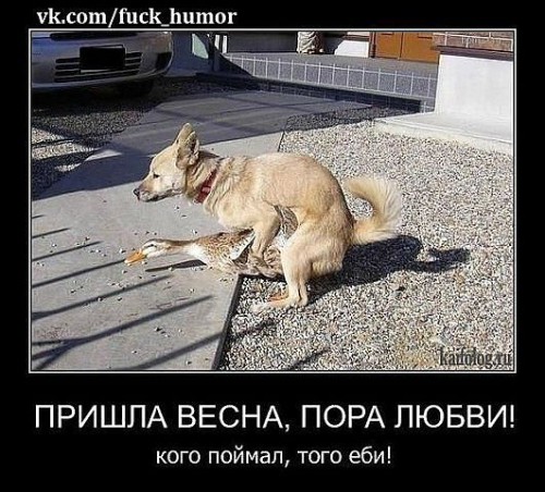 Весна.jpg