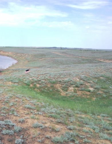 SNC02034.jpg