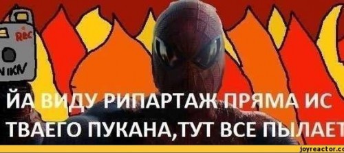 hl9ohxpocxg1[1].jpg