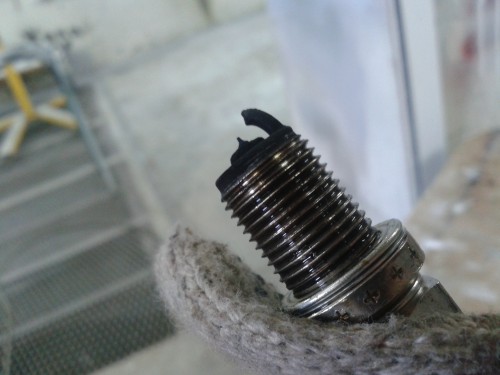 Plugs.jpg