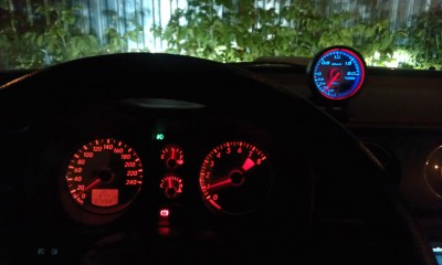 IMAG0219.jpg
