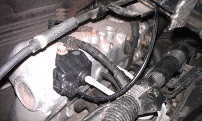 IMAG0224.jpg